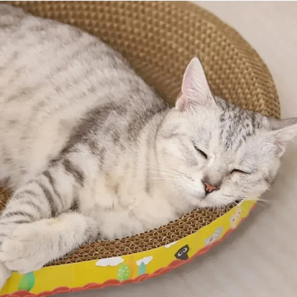Cat Scratcher Bowl Creative Bowl Shape Cardboard Cat Scratching Lounge Bed UK