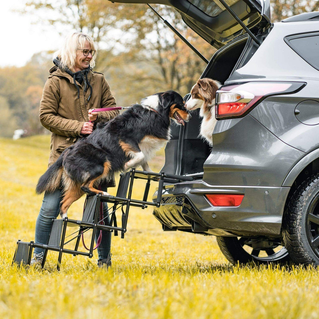Portable Foldable Pet Dog Ramp Car Boot Access Steps Ladder Stairs Lightweight