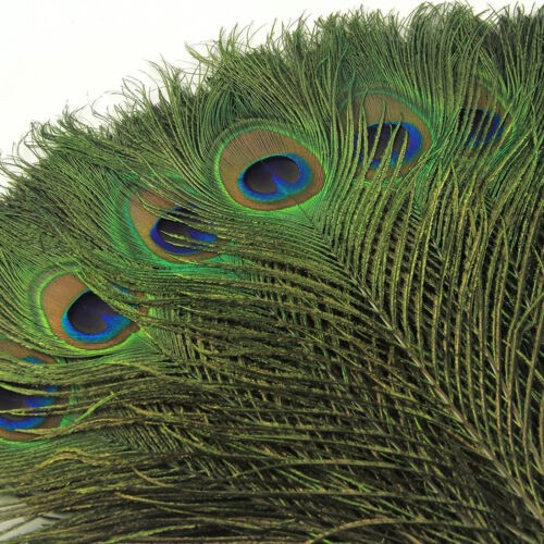 20X Natural Peacock Feathers Real Peacock Tail Feathers 25-30CM Feathers Decors