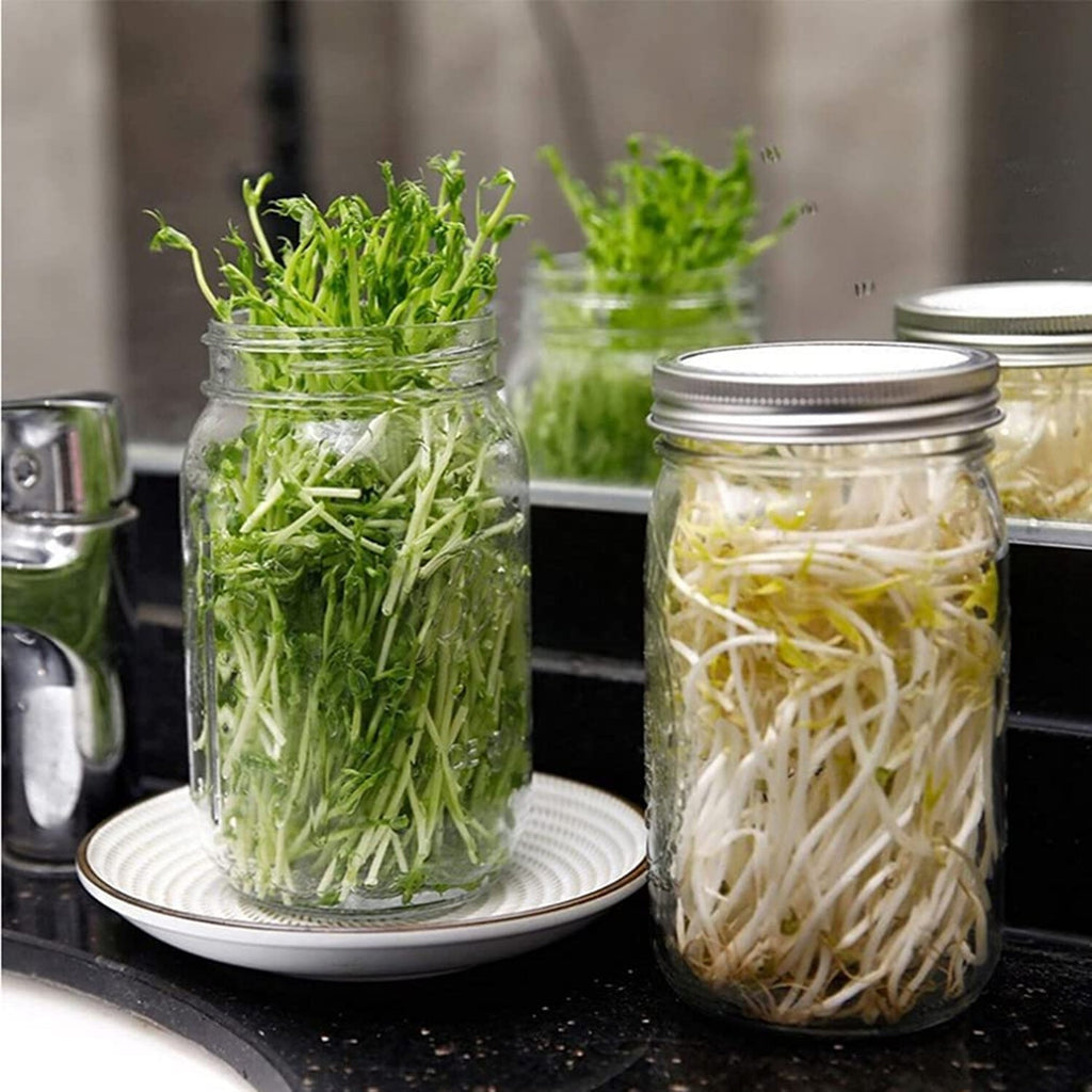 16OZ Seed Sprouter Kit Sprouting Mason Jar w/ Stainless Steel Strainer+Lid+Stand
