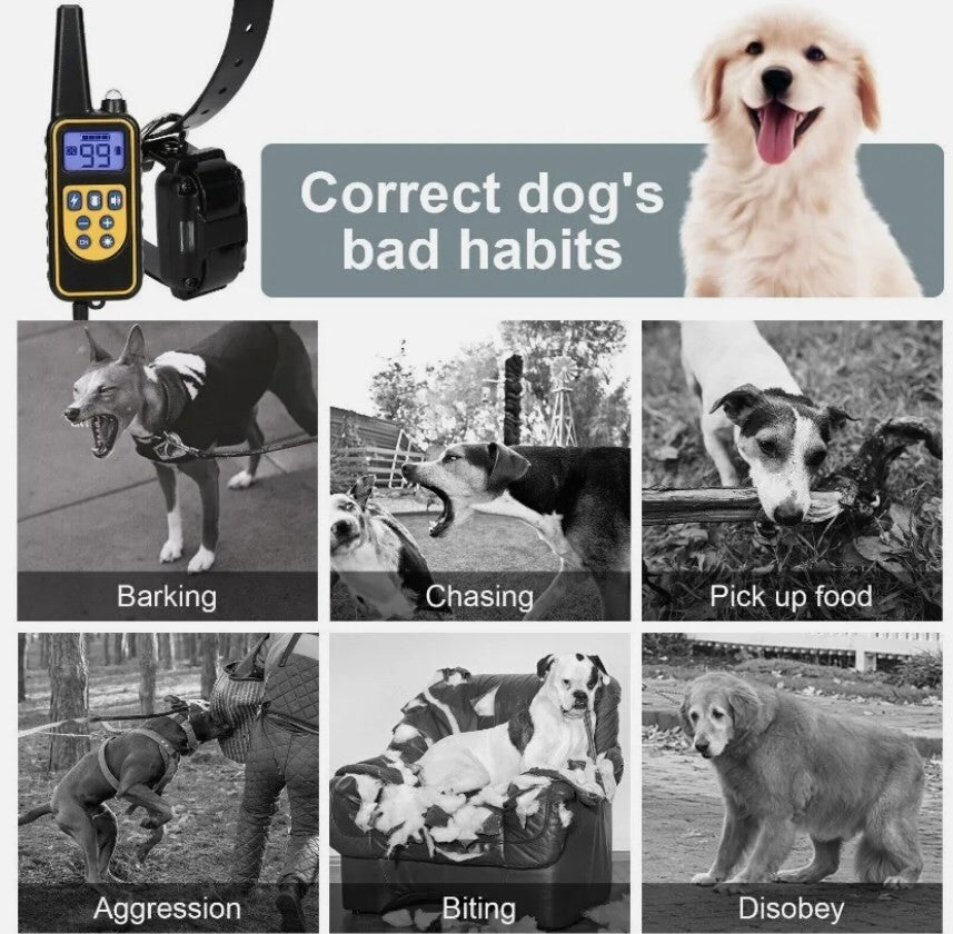 800m Remote-Controlled Electric Dog Training Collar with LCD Display
