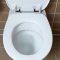 Replacement Toilet Lid Hinges with Soft Close and Complete Accessories