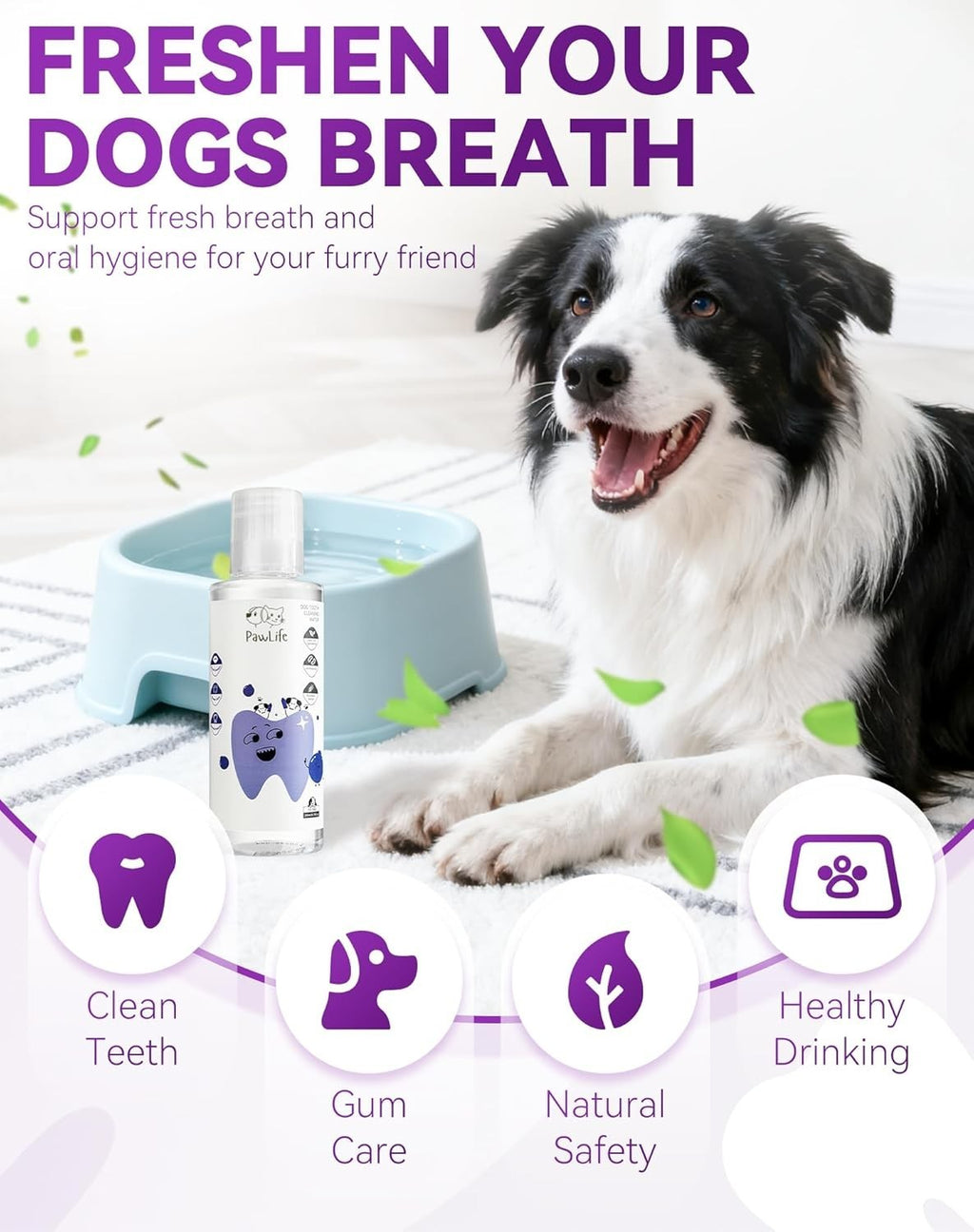 1-2PACK PawBright Dental Plus, Odorless & Flavorless Formula to Fight Tartar-NEW