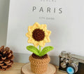 Mini Handwoven Flower Basket ,Handmade Knitted Bouquet ,Crochet Bouquet for