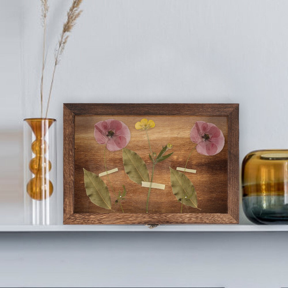 Wood Specimen Display Case Small Items Holder Versatile Jewelry Storage Box