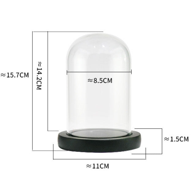 Clear Cloche Glass Dome Glass Bell Jar Display with Wooden Base
