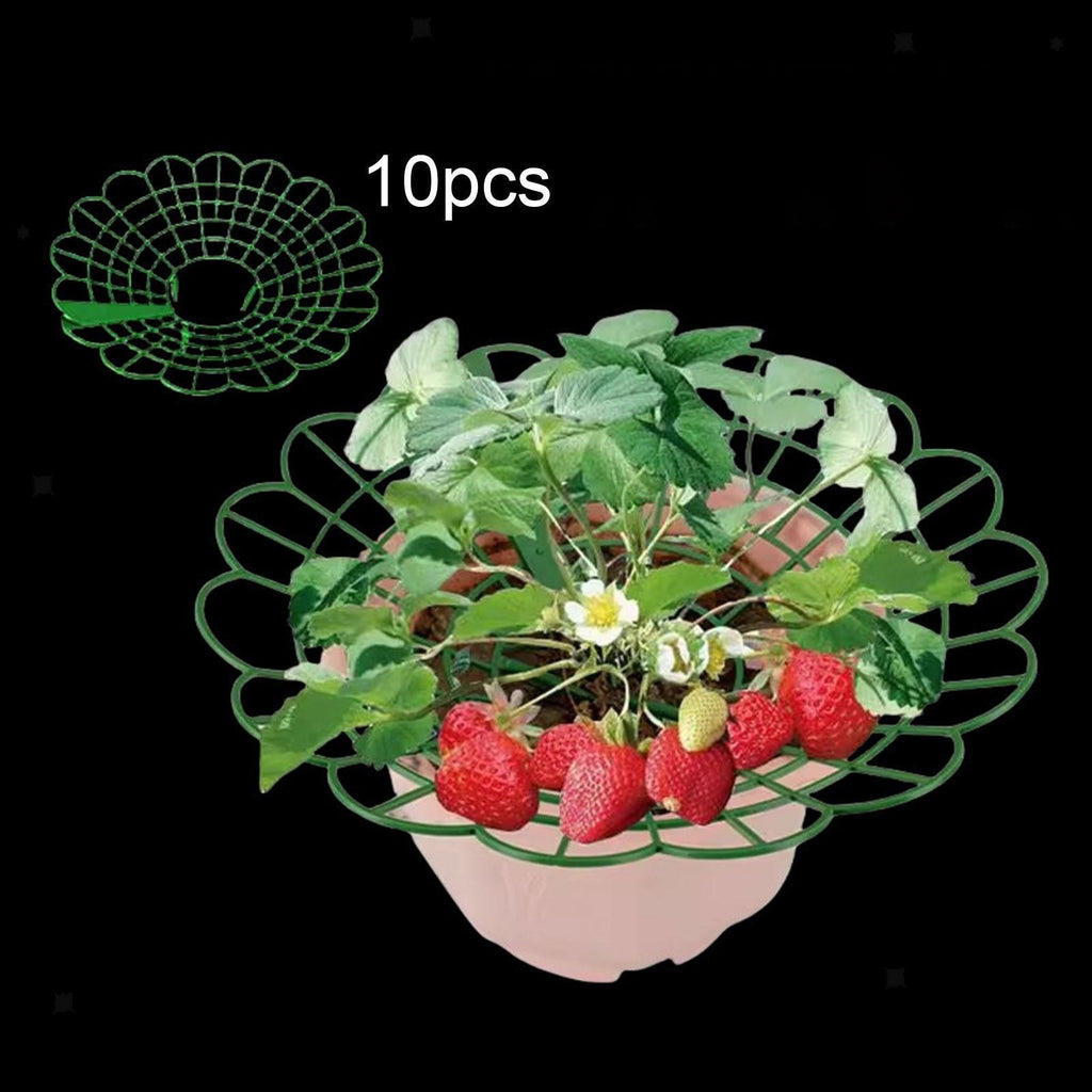 10Pcs Strawberry Support Strawberry Growing Rack for Yard Outdoor Greenhouse