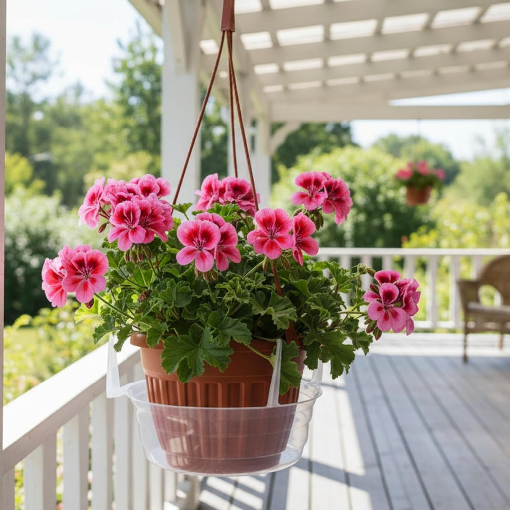 Hanging Basket Saucers for Plants, Saucers for Hanging Baskets