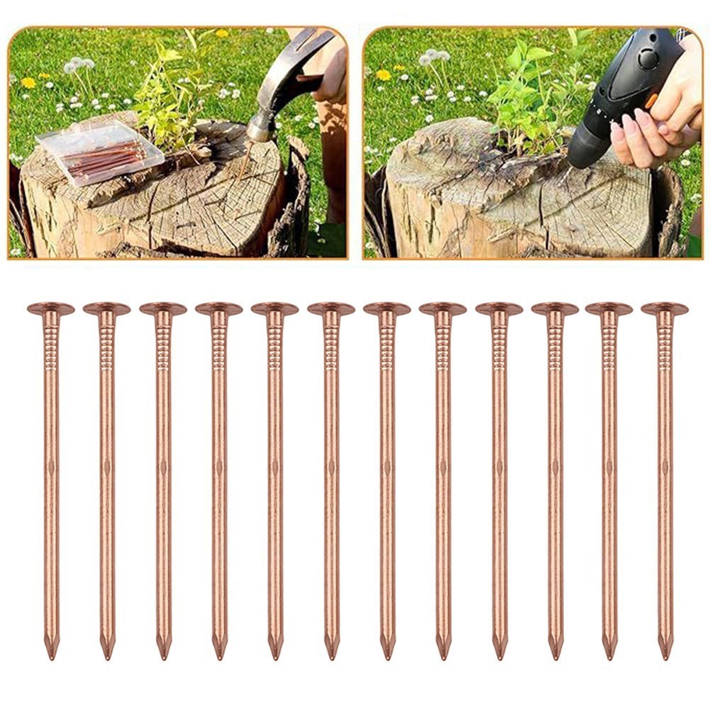 Copper Nails for Tree Stump Root For Killing 4 Inch Solid Copper Spikes