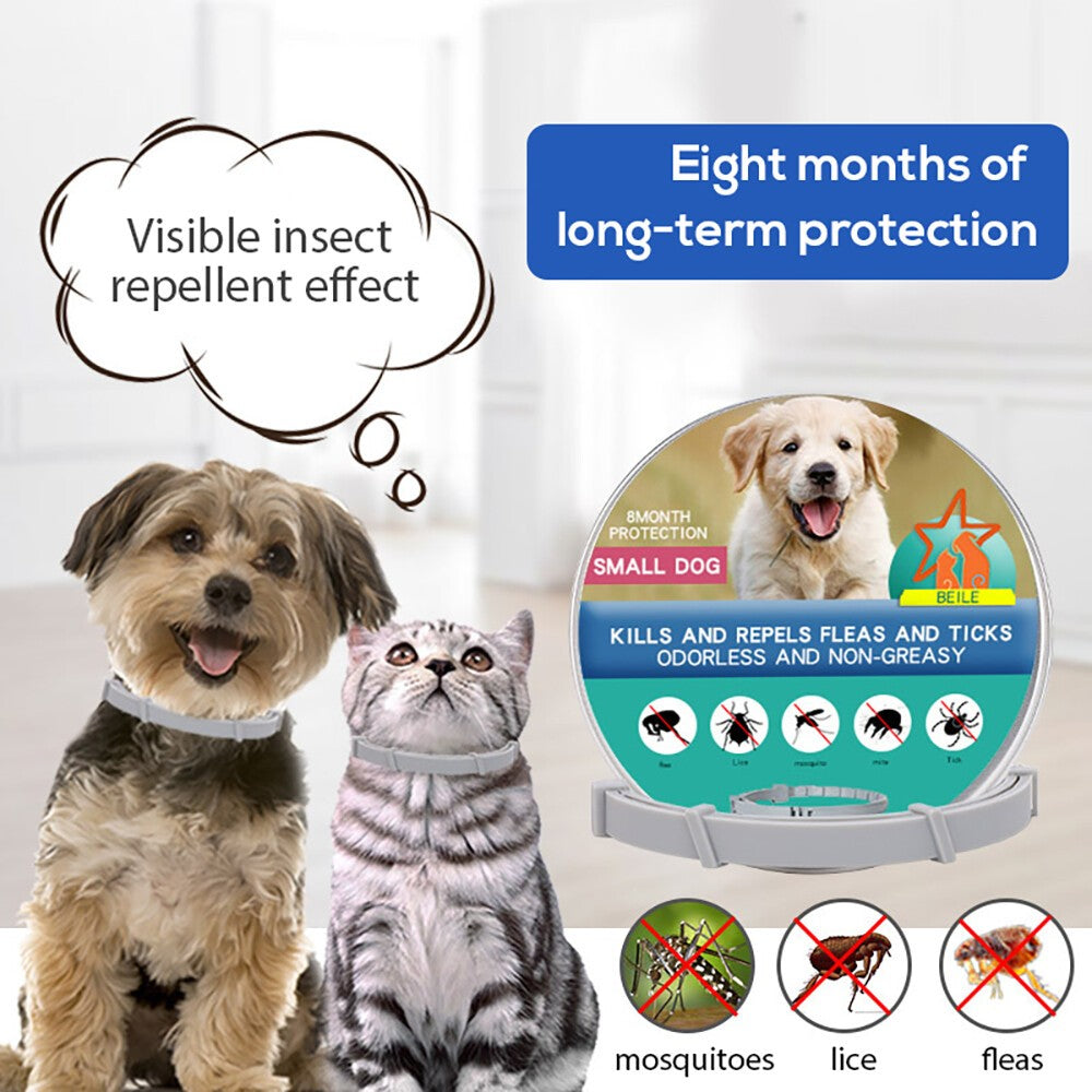 8 Month Protection Pet Flea and Tick Collar Antiparasitic Cat Collar