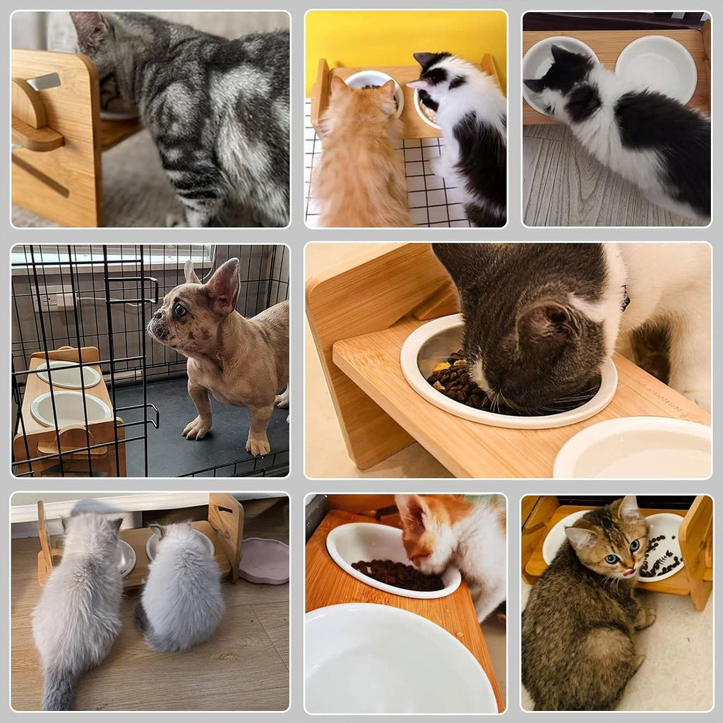 Adjustable Raised Pet Feeding Stand, Double Bowl Food Water Bowl for Dog Cat