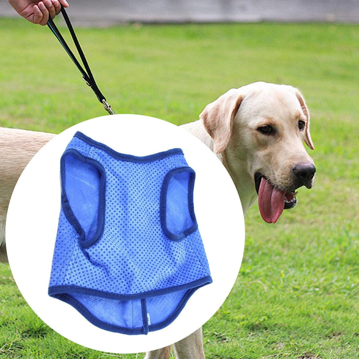 Summer Dog Cooling Vest Pet Cooler Jacket Breathable Clothes M/L/XL