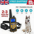 800m Remote-Controlled Electric Dog Training Collar with LCD Display