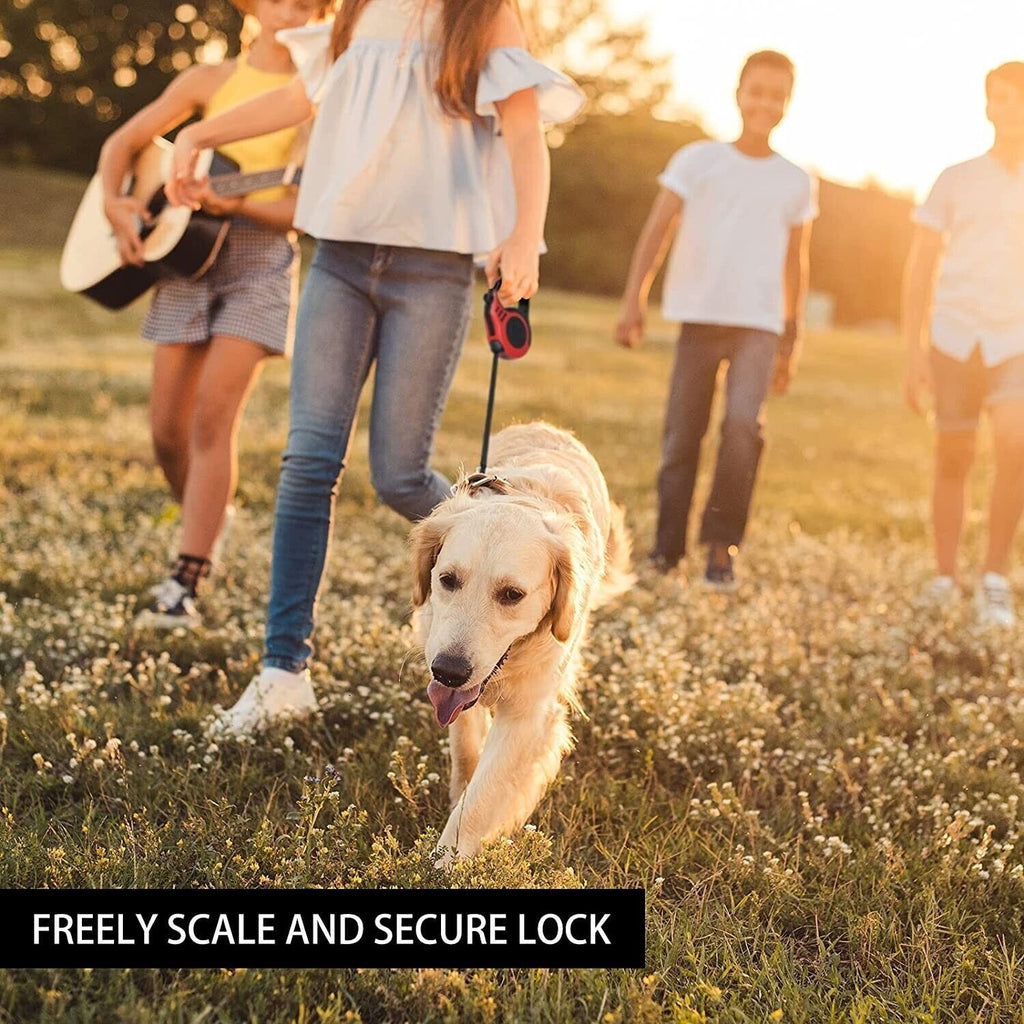 5 Meters Retractable Dog Cat Pet Lead Extendable Training Dog Leash Pet Leads
