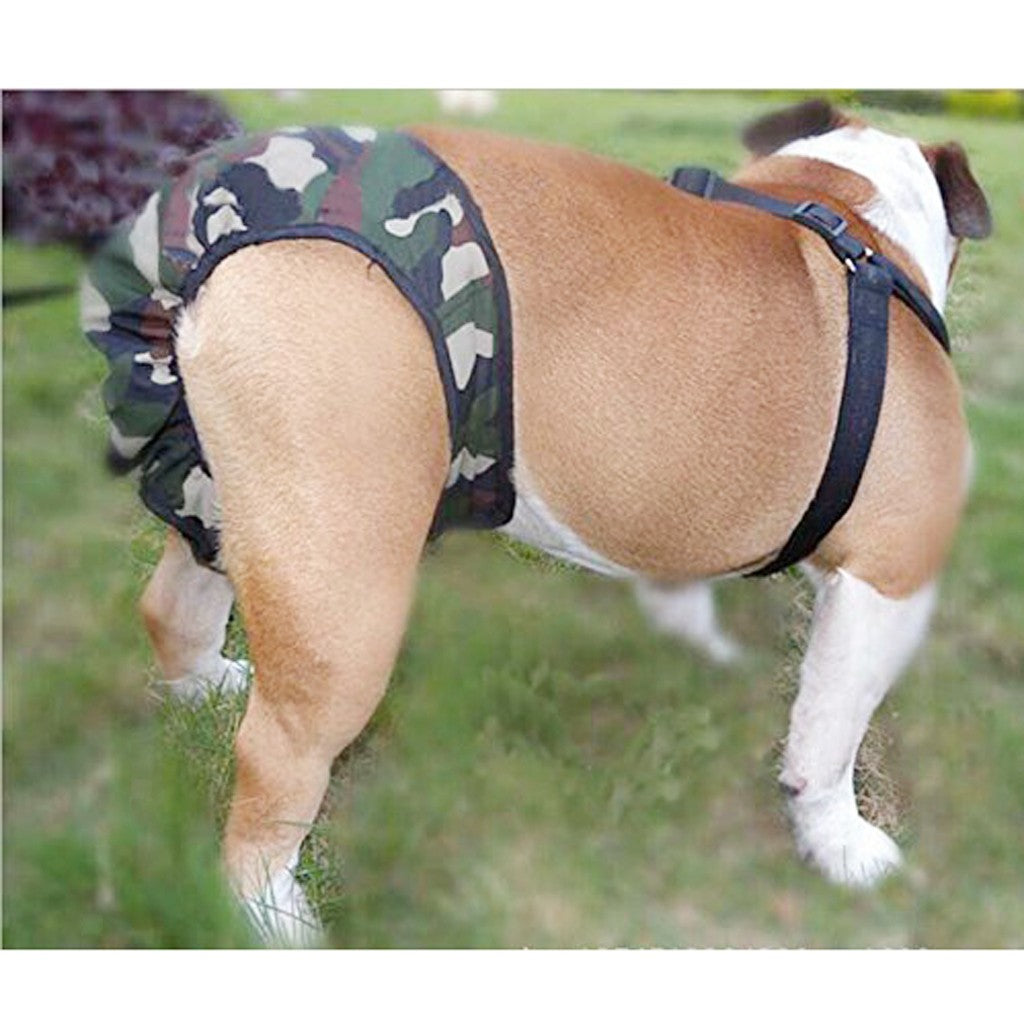 Heat pants for bitches / incontinence pants for males / adjustable dog