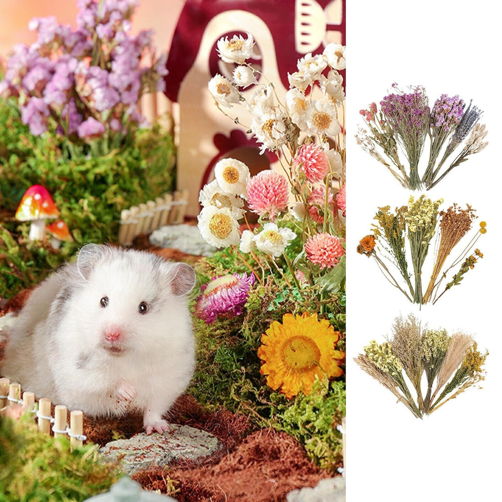 Natural Hamster Bedding Edible Flowers Herbs Sprays for Edible Grain NEW
