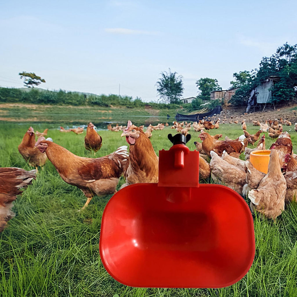 Large Automatic Cup Water Feeder Duck Geese Poultry Chook Bird Water Dispenser