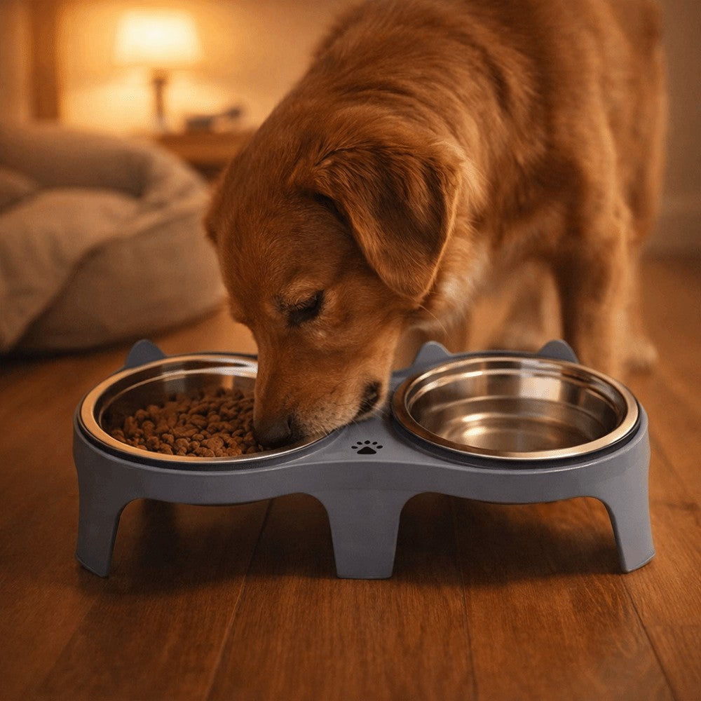 Pet Double Feeder Bowl Elevated Pet Bowl Cat Dog Water Food Bowl Pet Supplies