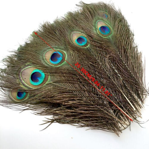 20X Natural Peacock Feathers Real Peacock Tail Feathers 25-30CM Feathers Decors