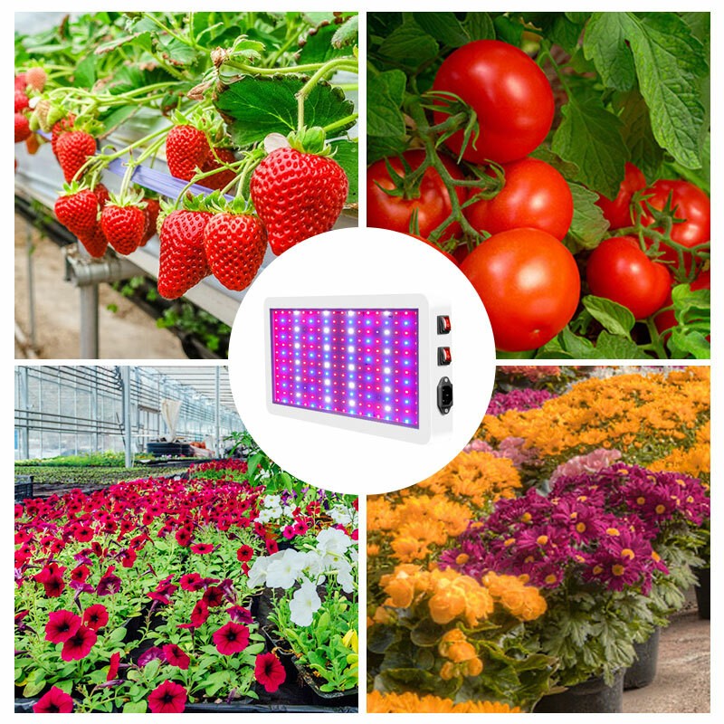 3000W Full Spectrum LED Grow Light Indoor Hydroponic Veg Flower Plant Tent Lamp