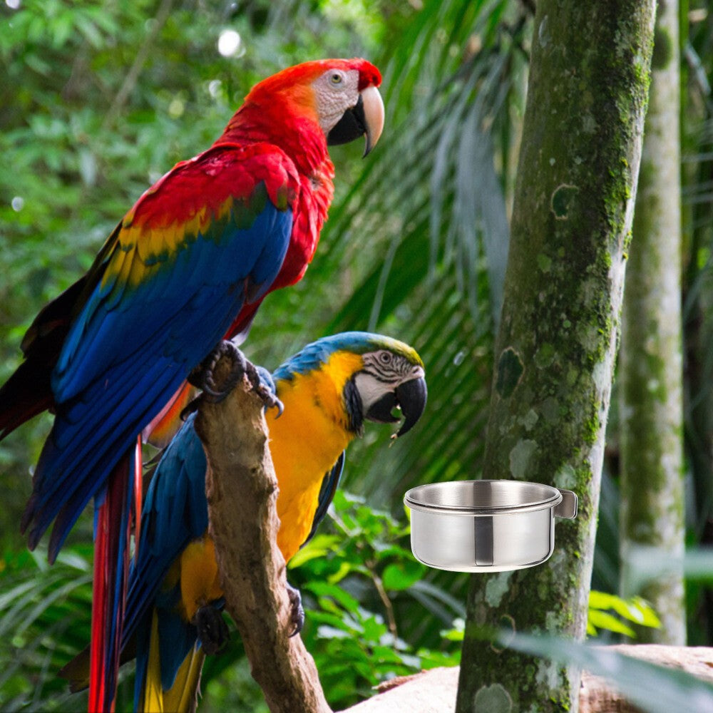 2 Sets Stainless Food Pet Bird Water Feeder Bird Bowl for Feeding Parrots