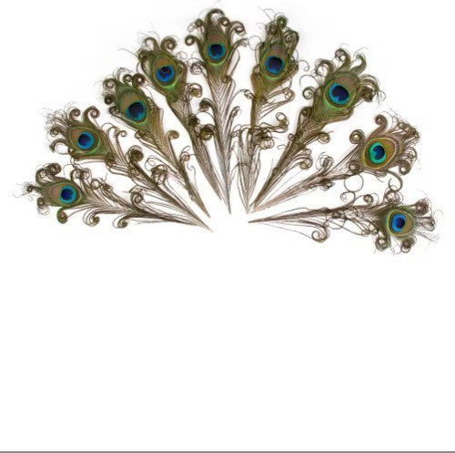 10PCS Real Peacock Feather 25-30cm