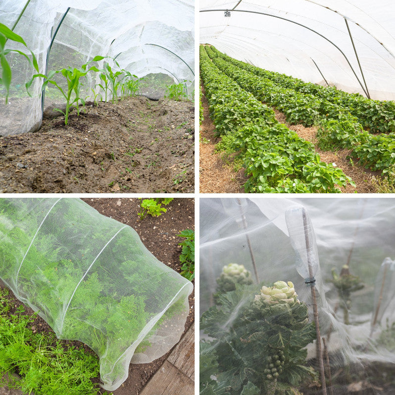 60 Mesh INSECT SCREEN NETTING NET Fine Woven Mesh Anti Fly Bug Pest Garden Net