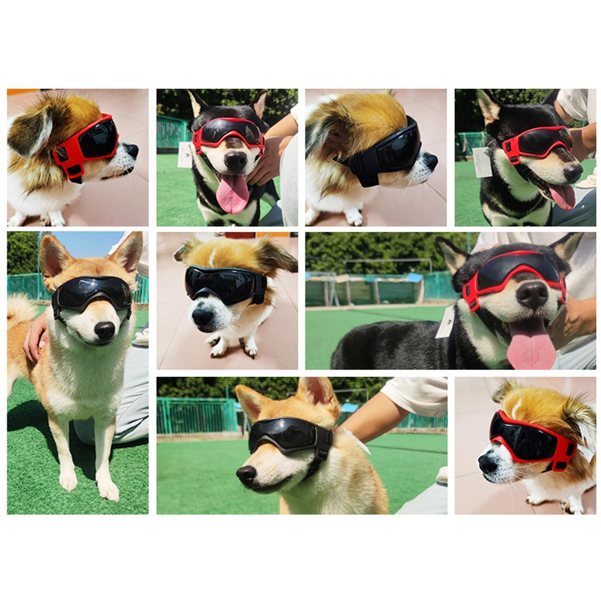 Dog Goggles Pet Adjustable Sunglasses Cosplay Eye Wear Dust Protection