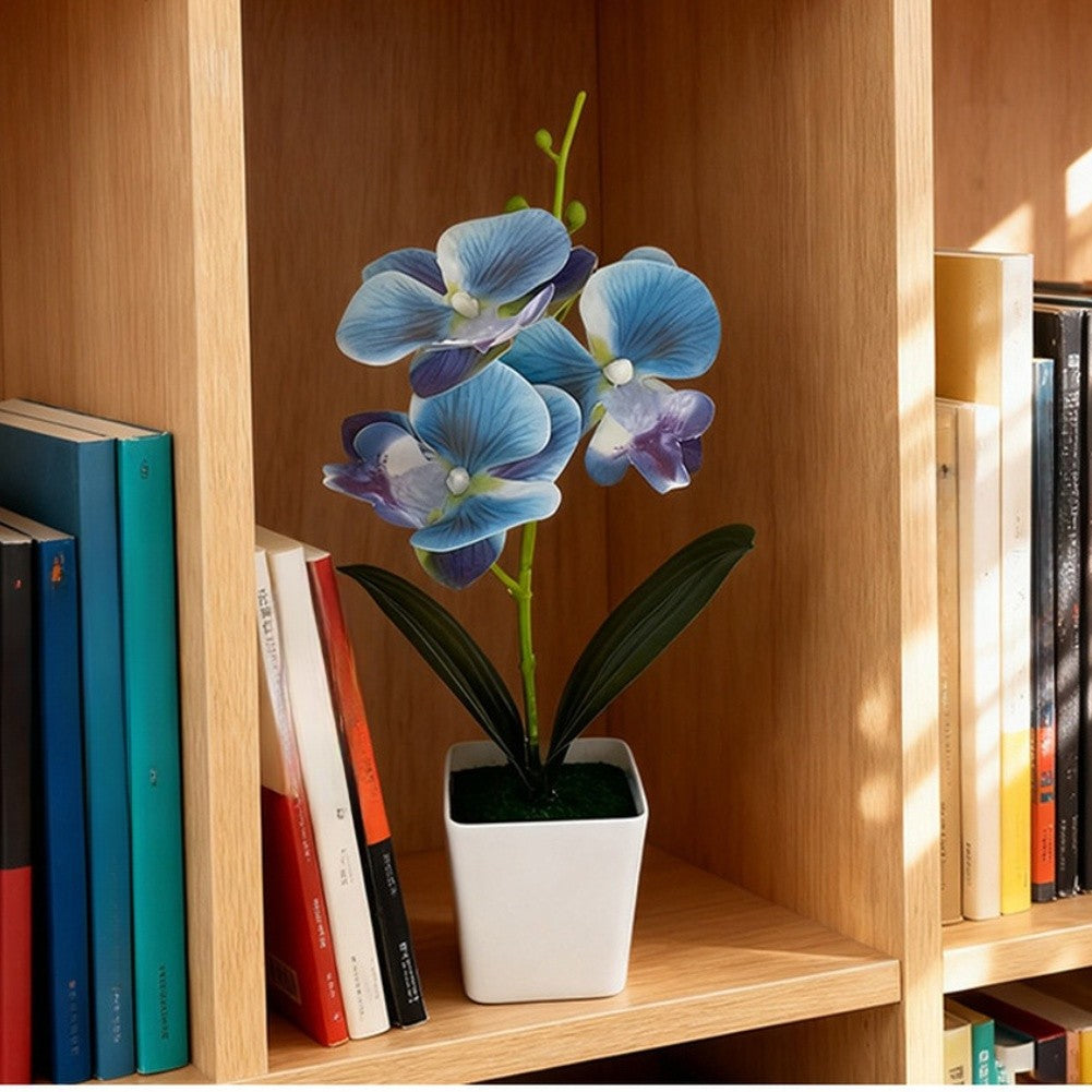 Artificial Phalaenopsis Orchid 5.5cm Wide 25cm Tall Plastic Potted Flower