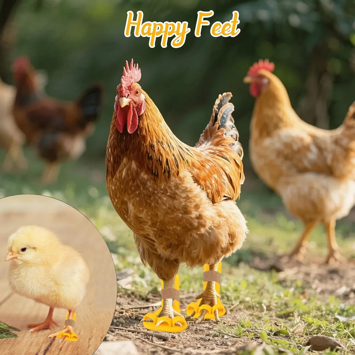 4-Piece Poultry Leg Splint Set with Holes- Professional Bumble Foot Treatment