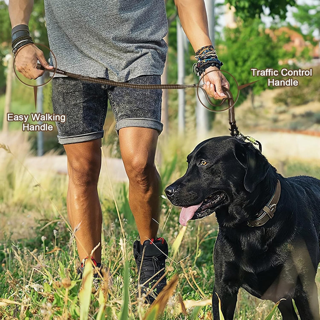 Heavy Duty Dog lead Leash 4-6FT No Pull Bungee Dog Leash with Quick Release