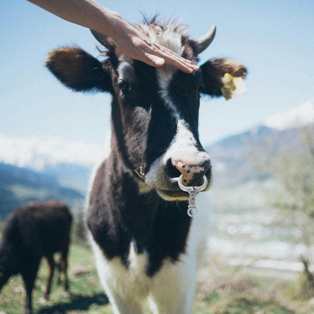 Livestock Traction Tool Decorative Cattle Nose Ring Cow Identification