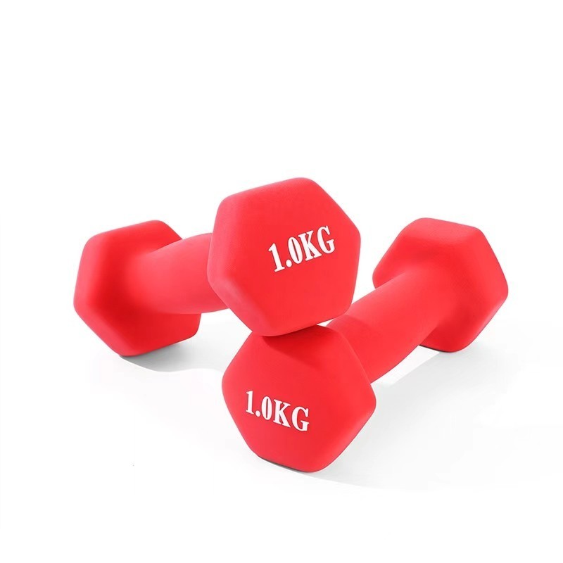 Pair 1kg 2kg 3kg Dumbbell Fitness Hand Weights Set for Women Home Gym Workout UK