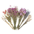 Natural Hamster Bedding Edible Flowers Herbs Sprays for Edible Grain NEW