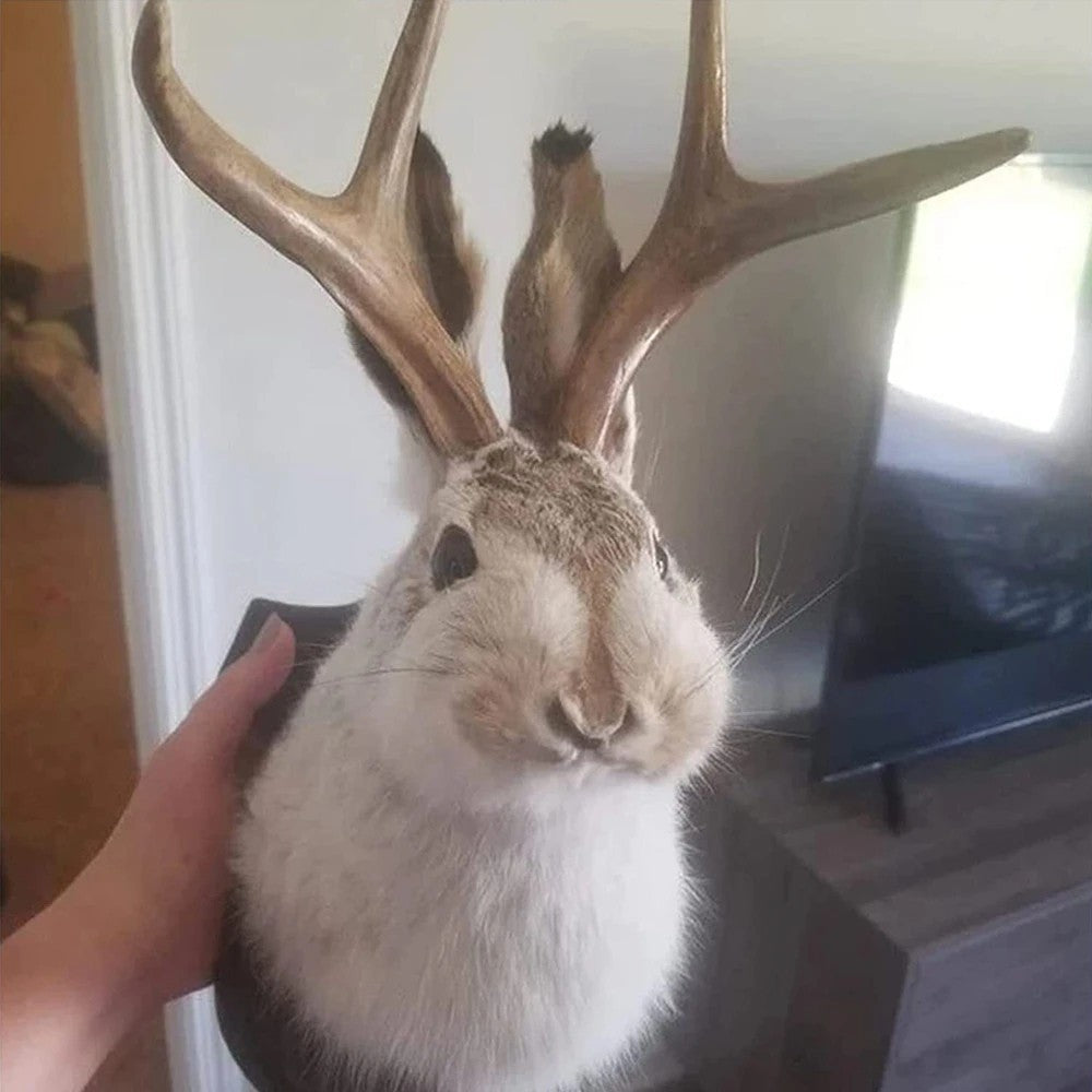 Animal Home Decoration Jackalope Statue Wall Mount Antler Rabbit Head Hanging