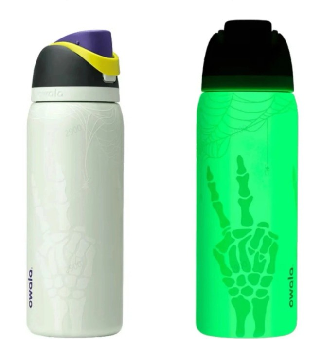 Bow Steel Bottle Freesip Blue Bottle Owala 32oz Stainless 24oz Multicolor Water