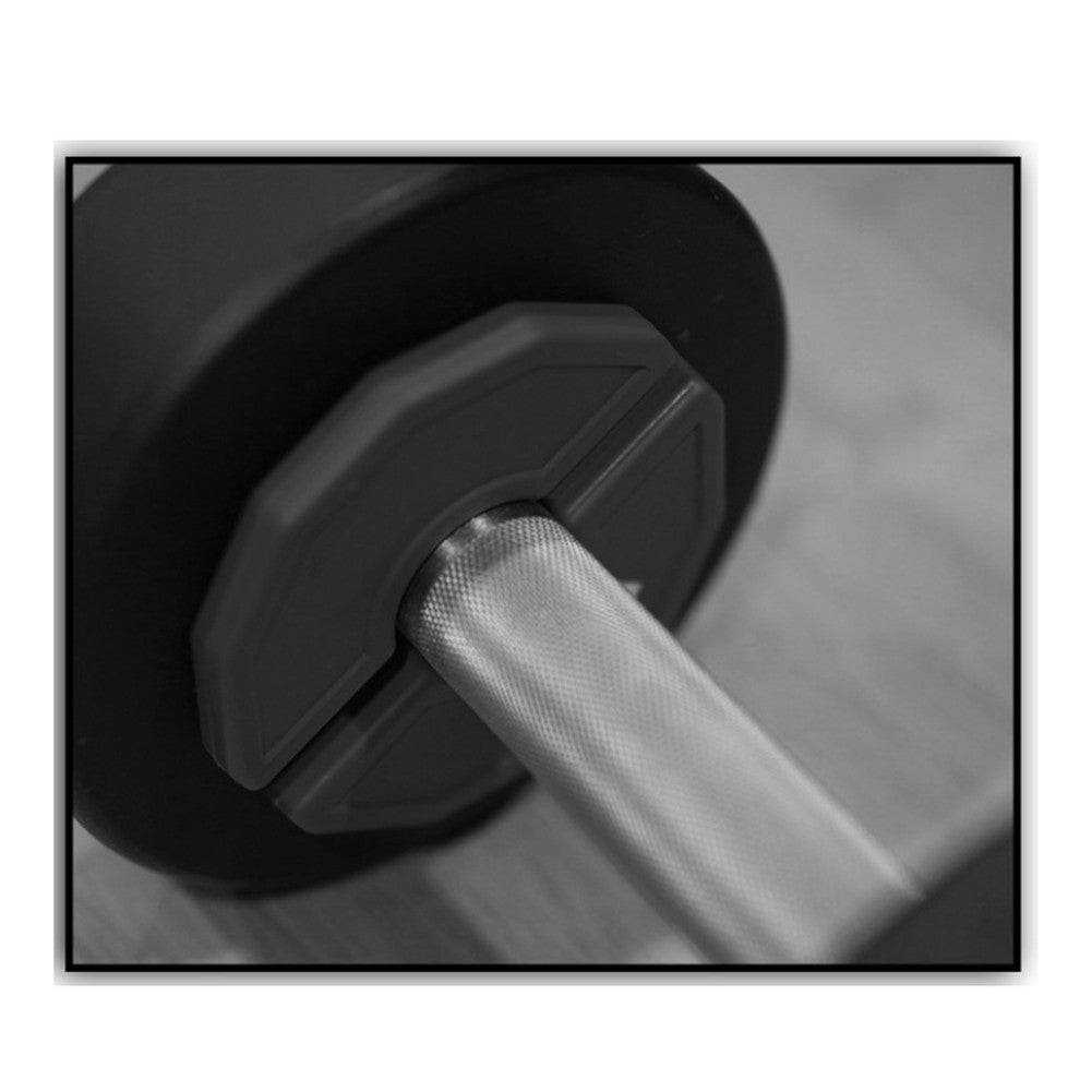1X 0.25KG Gym Micro-Plates Dumbbell Fractional Weight Plate Rubber Fractional