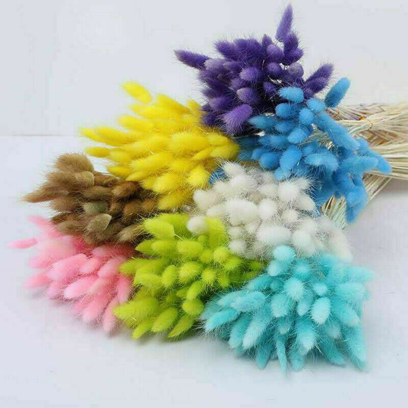 Dried Pampas Grass Decor ,Tall-Faux Bunny Tails Dried Flower Bouquet 50 Pcs