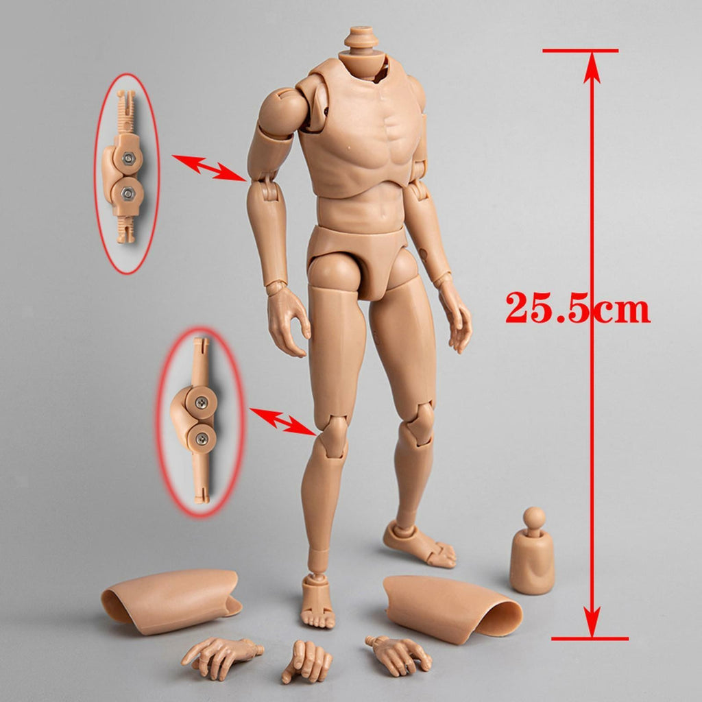1/6 Scale Male Action Figure Body Man Body 12" Male Body Model Flexible