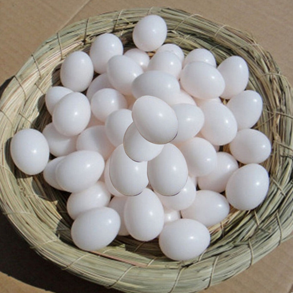 10 x Plastic Eggs Dummy Fake Eggs For Racing Homing Pigeons Hatch Pigeo Solid