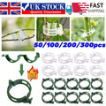 Garden Tools Plant Support Clips Ties Veggie Trellis Stake Greenhouse Tomato UK
