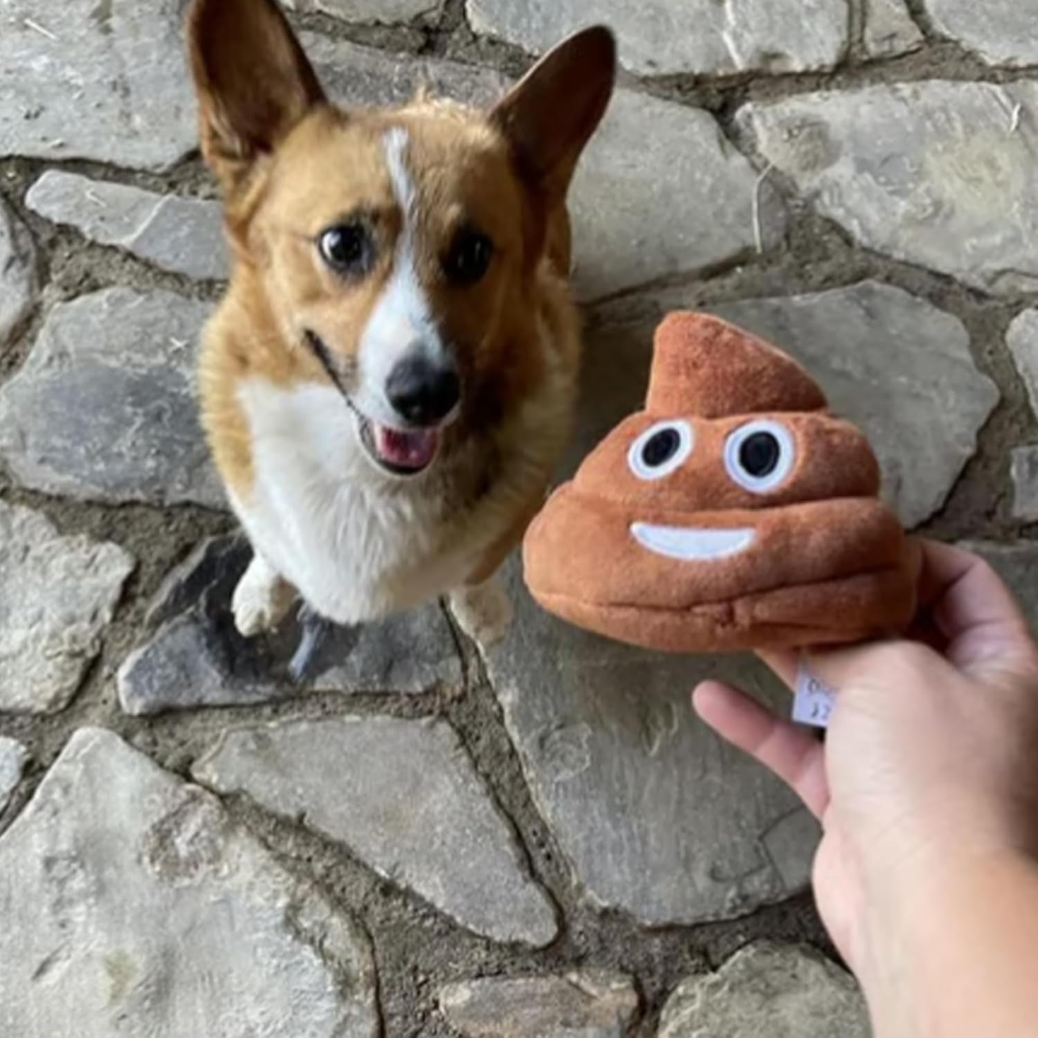 2pcs Funny Poop Plush Toy,Makes Fart Sounds, Fake Poop Dog Toy for Kids & Dog