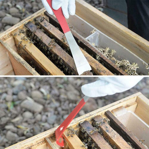 10 Pcs Beekeeping Tool Kit Beekeeping Equipment Beehive Tool !