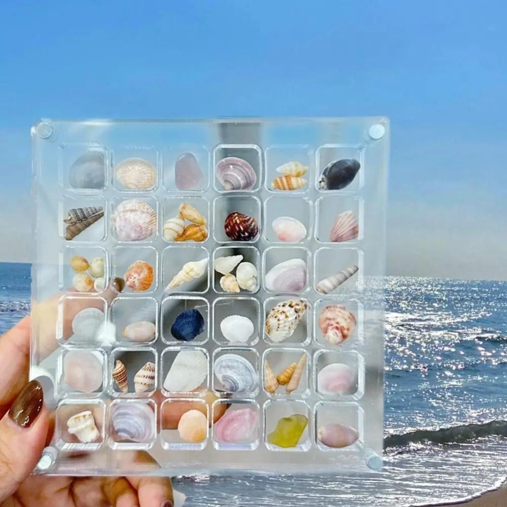 36 Grids Acrylic Magnetic Seashell Display Box Mini Seashell Collection Case