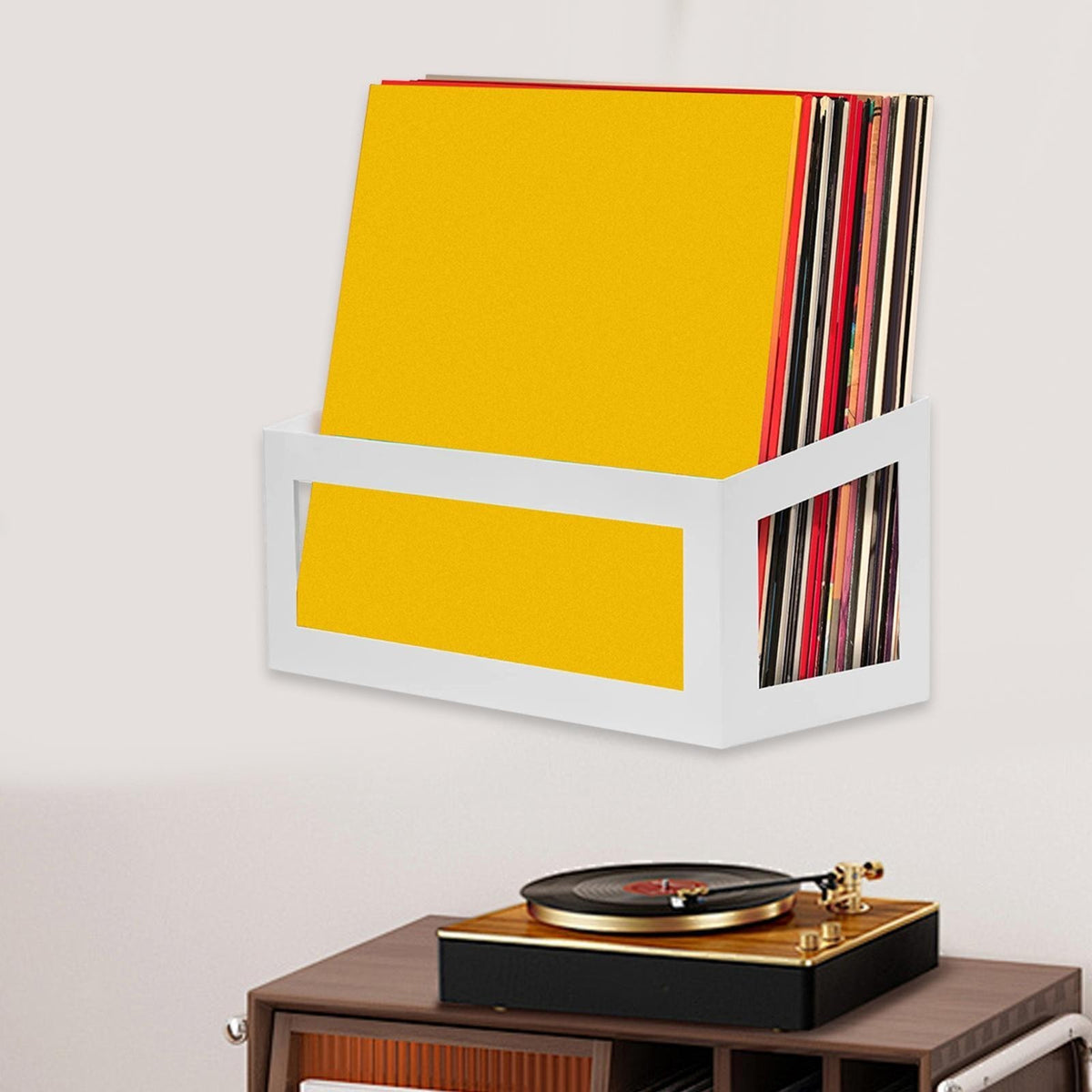 Vinyl Wall Mount Record Wall Storage White CD Display Hanging Record Holder