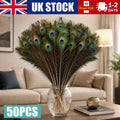 20X Natural Peacock Feathers Real Peacock Tail Feathers 25-30CM Feathers Decors