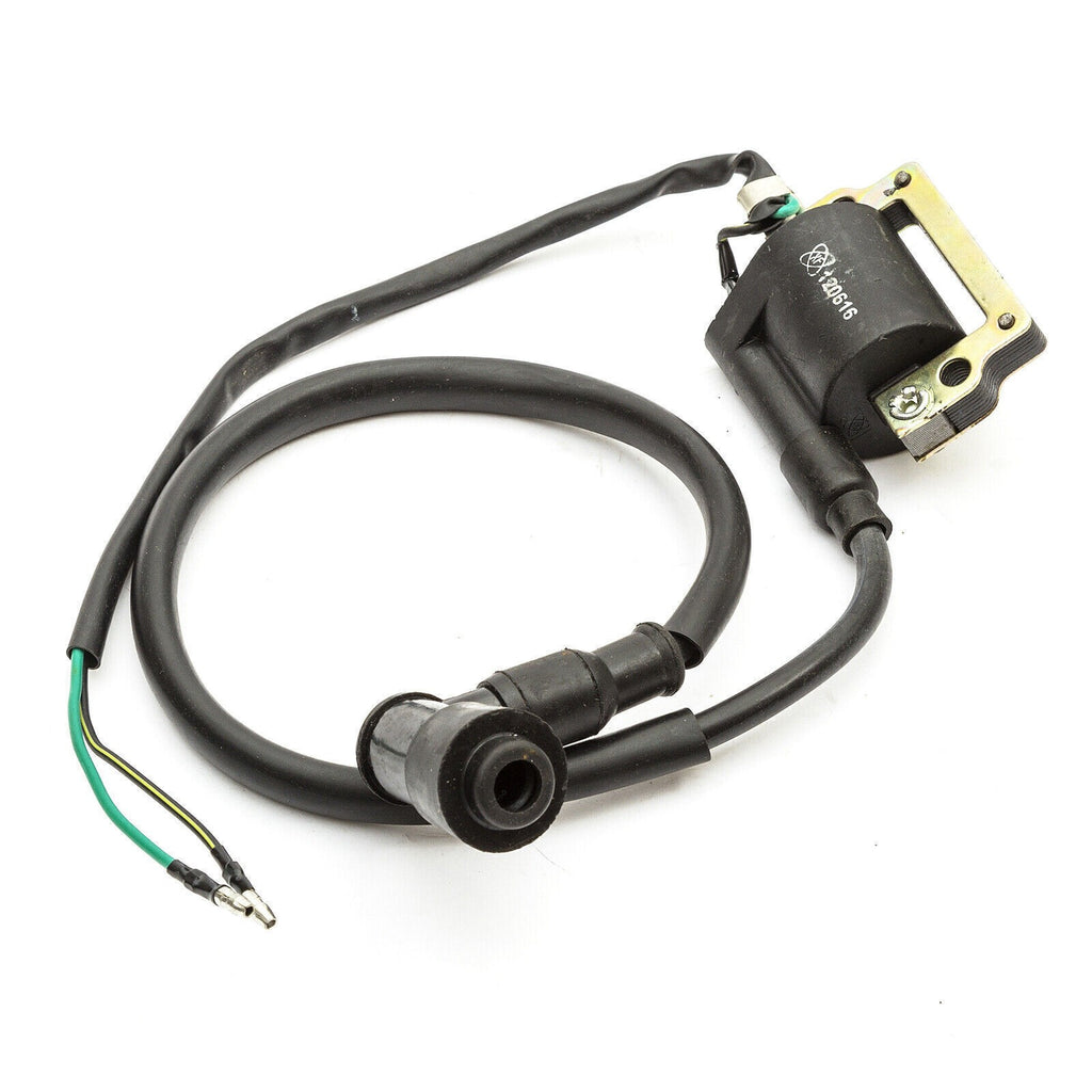 Stator Wiring Loom On Off Switch Coil CDI Plug Kit 110cc 125cc 140cc Pit Bike