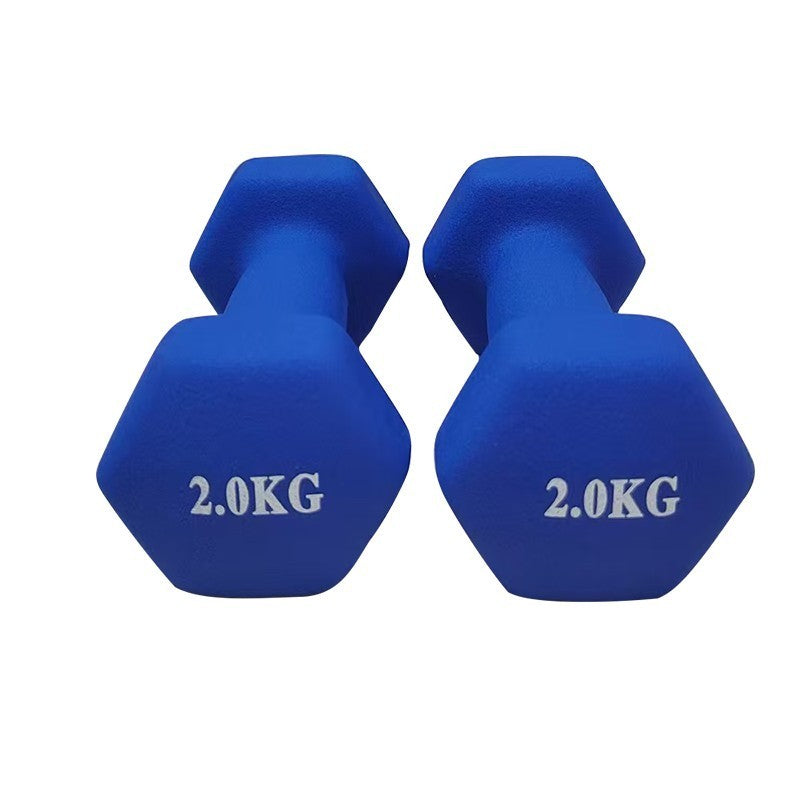 Pair 1kg 2kg 3kg Dumbbell Fitness Hand Weights Set for Women Home Gym Workout UK