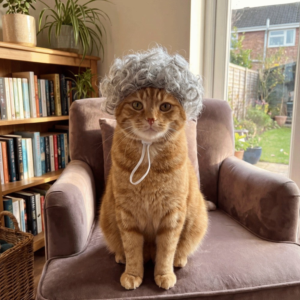 Curly Pet Wig Small Dog Cat Cosplay Headpiece Funny Dressing Hair Halloween Prop