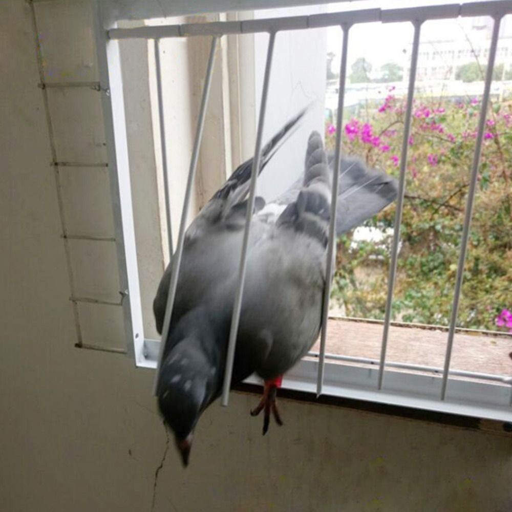 Removable Pigeon Entrance Door 30/40x26cm Trap Door Pigeon Loft Door  Bird Cage